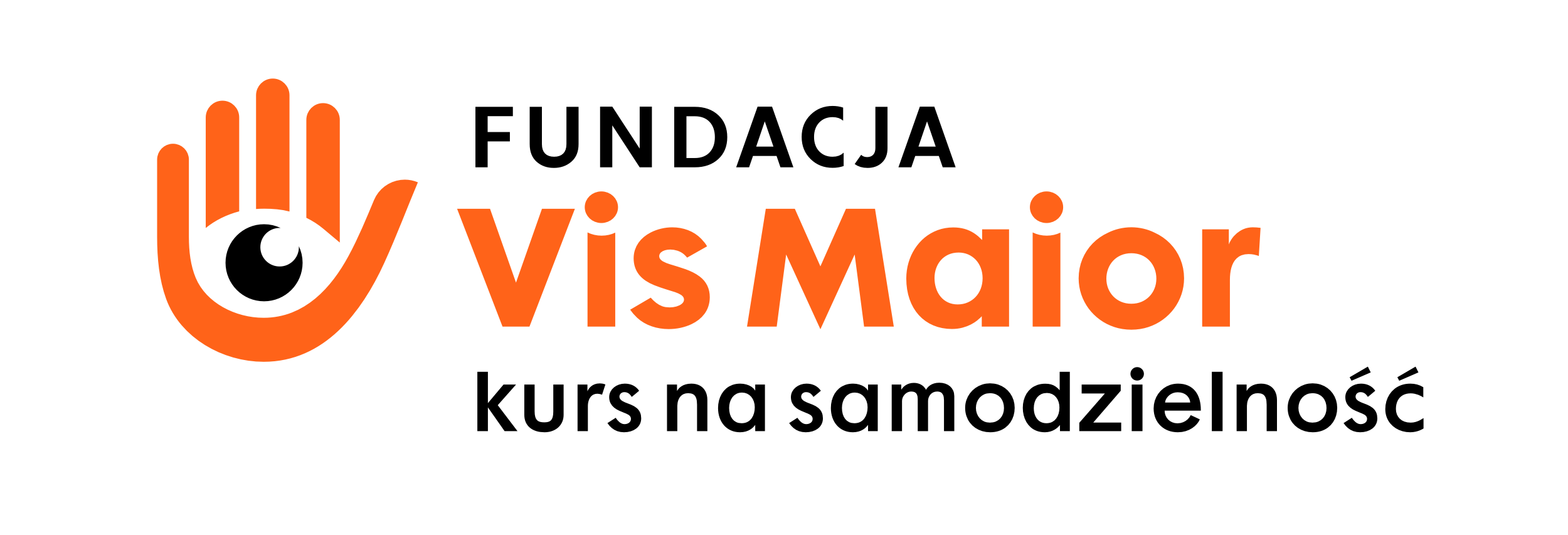 Logo Fundacji Vis Maior
