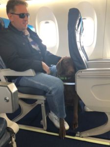 Mężczyzna w ciemnych okularach siedzi na fotelu w samolocie. W nogach pasażera siedzi pies przewodnik.