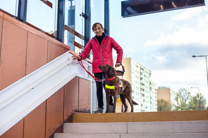 Na zdjęciu pies przewodnik pokazuje swojej opiekunce szerokie schody w dół. Kobieta jest uśmiechnięta.